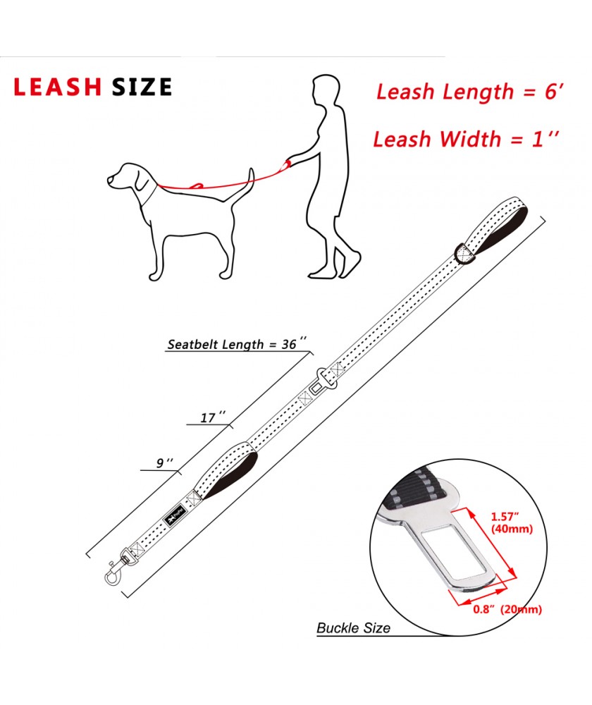 Dog Leash